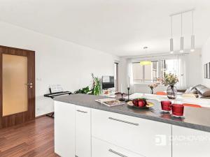 Prodej bytu 3+kk, Praha - Záběhlice, Švehlova, 104 m2