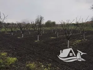 Prodej rodinného domu, Kavarna, Bulharsko, 90 m2