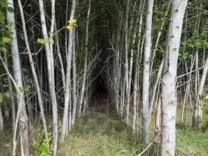 Prodej pole, Česká Kamenice, 108179 m2