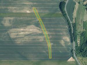 Prodej pole, Medlovice, 9702 m2