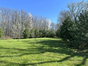 Prodej obchodního prostoru, Ostrava, Lipka, 520 m2