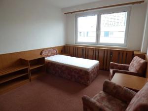 Pronájem bytu 1+kk, Brno, Heršpická, 23 m2