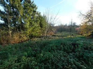 Prodej pozemku pro bydlení, Šumice, 2544 m2