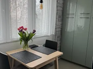 Pronájem bytu 2+1, Plzeň, Ke Špitálskému lesu, 60 m2