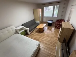 Pronájem bytu 1+1, Plzeň, Brněnská, 40 m2