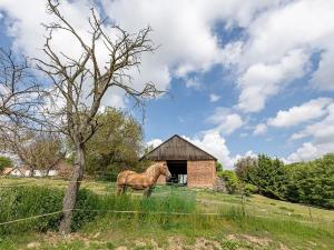 Prodej zemědělské usedlosti, Velká Bíteš, 850 m2