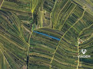 Prodej podílu pole, Mutěnice, 604 m2