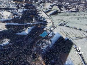 Prodej lesa, Česká Třebová, 3842 m2