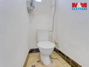 Prodej rodinného domu, Maňovice, 230 m2