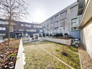 Pronájem bytu 2+kk, Praha - Žižkov, Olgy Havlové, 54 m2