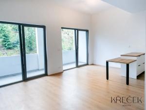 Pronájem bytu 1+kk, Třebíč, Tomáše Bati, 38 m2