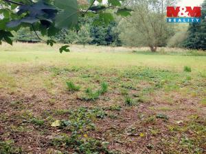 Prodej louky, Bystřice, 1741 m2