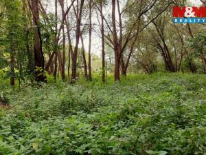 Prodej louky, Bystřice, 682 m2