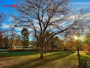 Pronájem bytu 1+kk, Pardubice, Gagarinova, 28 m2