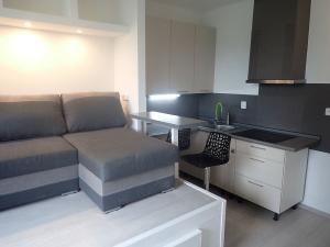 Pronájem bytu 1+kk, Liberec - Liberec XIV-Ruprechtice, Rychtářská, 18 m2