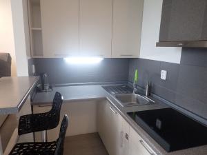 Pronájem bytu 1+kk, Liberec - Liberec XIV-Ruprechtice, Rychtářská, 18 m2