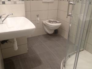 Pronájem bytu 1+kk, Liberec - Liberec XIV-Ruprechtice, Rychtářská, 18 m2