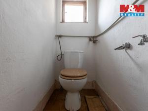 Prodej chalupy, Oselce - Kotouň, 112 m2