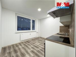 Pronájem bytu 1+1, Ostrov, Lidická, 35 m2