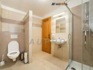 Prodej ubytování, Český Krumlov - Vnitřní Město, Široká, 400 m2