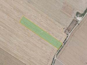 Prodej pole, Čachovice, 55278 m2