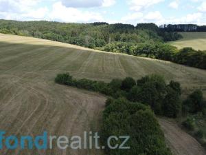 Prodej pozemku, Slavičín - Nevšová, 18347 m2