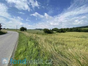 Prodej pozemku, Prusinovice, 3950 m2