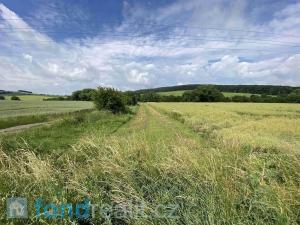 Prodej pozemku, Prusinovice, 3950 m2