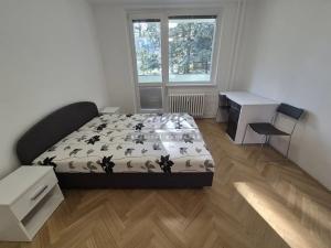 Pronájem bytu 1+1, Brno, 28 m2