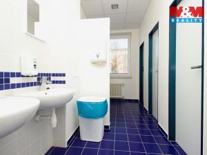 Pronájem kanceláře, Opava - Předměstí, Těšínská, 30 m2