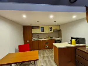 Pronájem bytu 1+1, Brno, Cejl, 28 m2