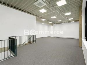 Pronájem výrobních prostor, Brno, Vinohradská, 446 m2