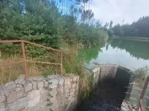 Pronájem rybníku, Komárovice, 9025 m2