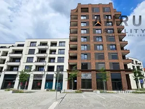 Pronájem bytu 2+kk, Praha - Nusle, Bělehradská, 60 m2