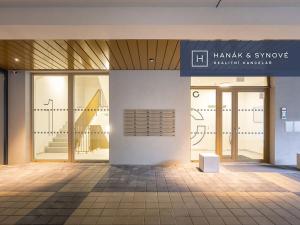 Pronájem bytu 1+kk, Brno, Cejl, 31 m2