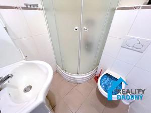 Pronájem bytu 4+1, Děčín, 28. října, 105 m2