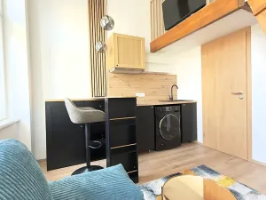 Pronájem bytu 1+kk, Praha - Nové Město, Sokolská, 17 m2