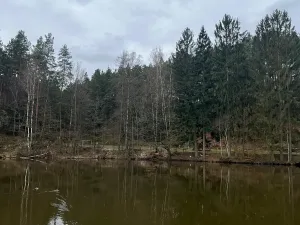 Prodej chalupy, Janovice v Podještědí, 150 m2