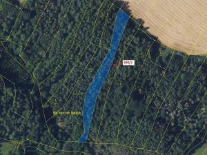 Dražba lesa, Žďárec, 2615 m2