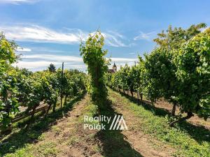 Prodej rodinného domu, Bulhary, 134 m2