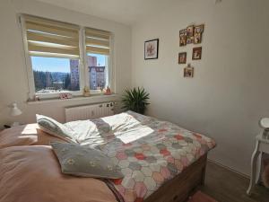 Pronájem bytu 2+1, Jablonec nad Nisou - Mšeno nad Nisou, Mšenská, 58 m2