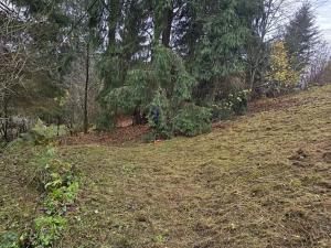 Prodej pozemku pro bydlení, Staré Hamry, 1212 m2