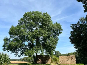 Prodej chalupy, Ratboř, 161 m2