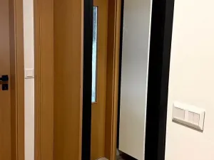 Pronájem bytu 2+kk, Olomouc, Wellnerova, 70 m2