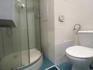 Pronájem bytu 1+kk, Ústí nad Labem - Ústí nad Labem-centrum, Hoření, 22 m2