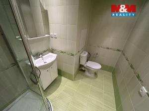 Pronájem bytu 1+kk, Ústí nad Labem - Krásné Březno, Obvodová, 31 m2