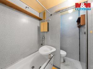 Prodej bytu 1+kk, Děčín - Děčín III-Staré Město, Žerotínova, 28 m2