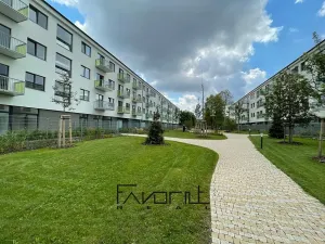 Pronájem bytu 1+kk, Ostrava, Hasičská, 35 m2