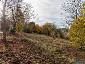 Prodej pozemku pro bydlení, Příluka, 805 m2