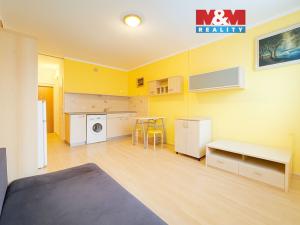 Prodej bytu 1+kk, Nová Role, Nádražní, 24 m2